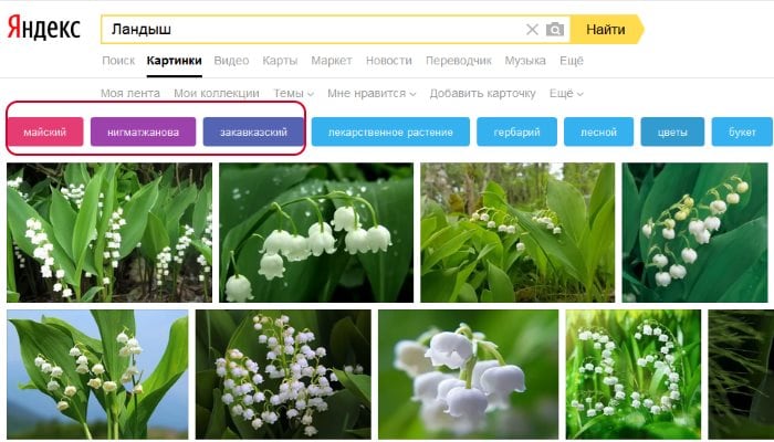 「Yandexの写真を検索するためのフィルター」