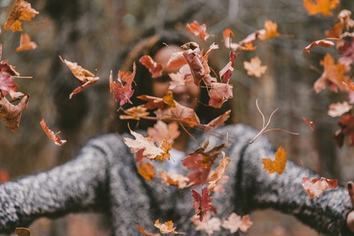 「instagramの秋の写真のアイデア-女の子が森に葉を投げる」