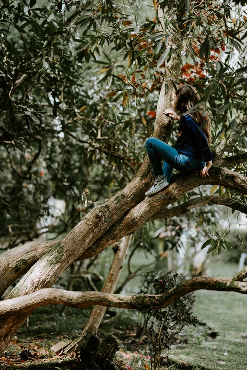 「instagramの秋の写真のアイデア-木の上の少女」