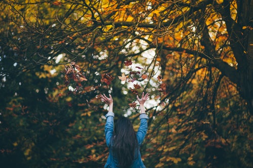 「Instagramの秋の写真のアイデア-森に葉を投げる」