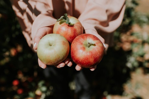 「Instagramの秋の写真のアイデア-リンゴを手に」