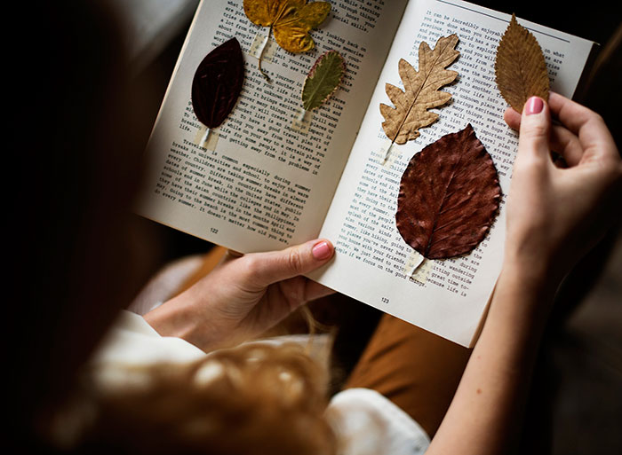 「Instagramの秋の写真のアイデア-本の乾燥した葉」